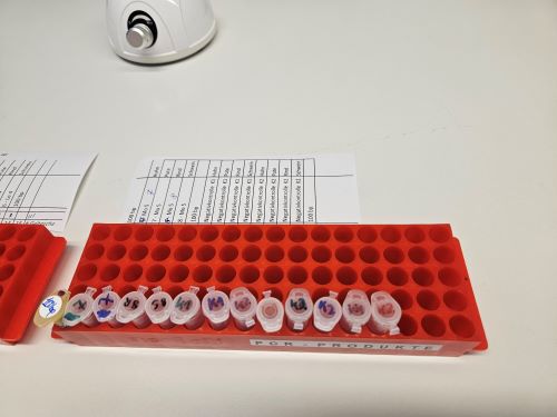 BioS7 DNA Proben