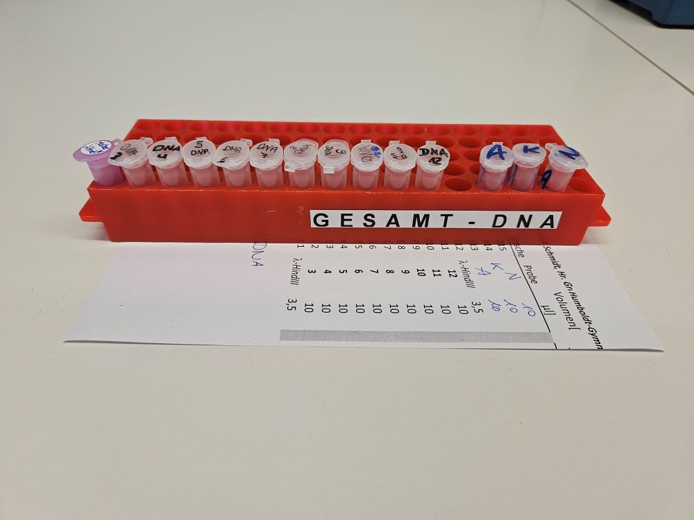 BioS7 DNA Proben