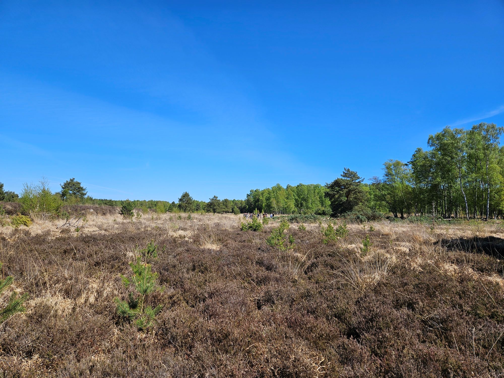 Moor6
