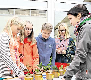 Umwelttag am Humboldt - Gymnasium in Gifhorn